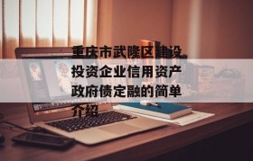 重庆市武隆区建设投资企业信用资产政府债定融的简单介绍