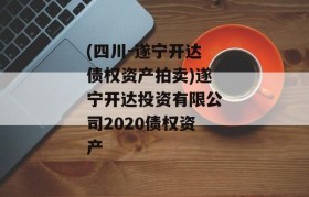 (四川-遂宁开达债权资产拍卖)遂宁开达投资有限公司2020债权资产