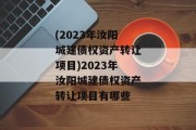 (2023年汝阳城建债权资产转让项目)2023年汝阳城建债权资产转让项目有哪些