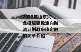 2022年山东兴鱼投资建设定向融资计划政府债定融的简单介绍