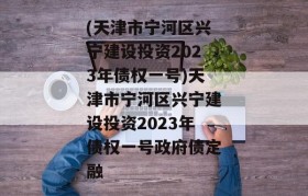 (天津市宁河区兴宁建设投资2023年债权一号)天津市宁河区兴宁建设投资2023年债权一号政府债定融