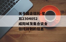 关于国企信托-星石2304052咸阳城发集合资金信托计划的信息