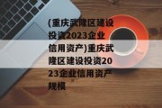 (重庆武隆区建设投资2023企业信用资产)重庆武隆区建设投资2023企业信用资产规模