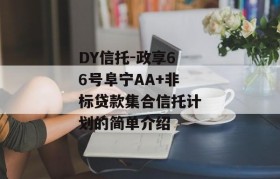 DY信托-政享66号阜宁AA+非标贷款集合信托计划的简单介绍