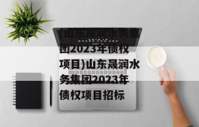 (山东晟润水务集团2023年债权项目)山东晟润水务集团2023年债权项目招标