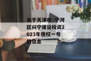 关于天津市·宁河区兴宁建设投资2023年债权一号的信息