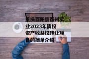 重庆酉阳县酉州实业2023年债权资产收益权转让项目的简单介绍