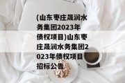 (山东枣庄晟润水务集团2023年债权项目)山东枣庄晟润水务集团2023年债权项目招标公告