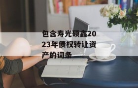 包含寿光硕鑫2023年债权转让资产的词条