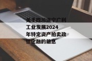 关于四川遂宁广利工业发展2024年特定资产拍卖政信定融的信息