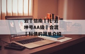 云‮信南‬托-云坤号AA级‮合混‬标债的简单介绍