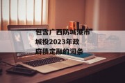 包含广西防城港市城投2023年政府债定融的词条