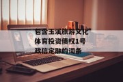 包含玉溪旅游文化体育投资债权1号政信定融的词条