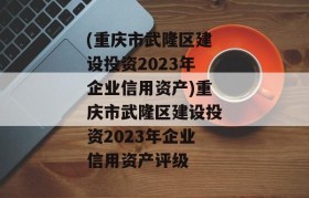 (重庆市武隆区建设投资2023年企业信用资产)重庆市武隆区建设投资2023年企业信用资产评级