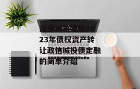 延安城市建投2023年债权资产转让政信城投债定融的简单介绍