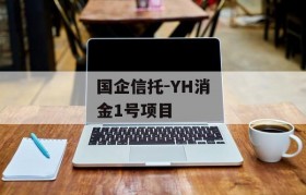 国企信托-YH消金1号项目