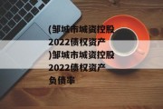 (邹城市城资控股2022债权资产)邹城市城资控股2022债权资产负债率