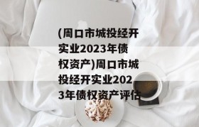 (周口市城投经开实业2023年债权资产)周口市城投经开实业2023年债权资产评估