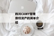 四川CAWY管理债权资产的简单介绍