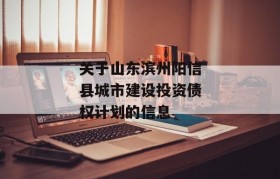 关于山东滨州阳信县城市建设投资债权计划的信息