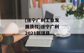 (遂宁广利工业发展债权)遂宁广利2021新项目