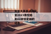 包含大英县通源实业2023债权拍卖02政信定融的词条