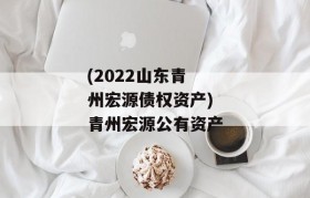(2022山东青州宏源债权资产)青州宏源公有资产