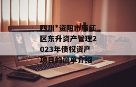 四川*资阳市雁江区东升资产管理2023年债权资产项目的简单介绍