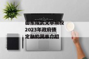 山东成武文亭城投2023年政府债定融的简单介绍