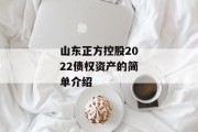 山东正方控股2022债权资产的简单介绍