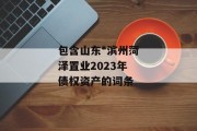 包含山东*滨州菏泽置业2023年债权资产的词条