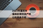 2023年重庆市潼南区债权资产转让的简单介绍