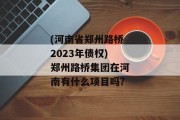 (河南省郑州路桥2023年债权)郑州路桥集团在河南有什么项目吗?