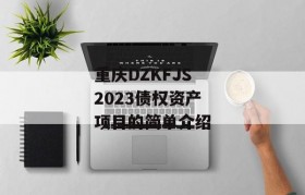 重庆DZKFJS2023债权资产项目的简单介绍