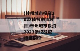 (林州城市投资2023债权融资项目)林州城市投资2023债权融资项目招标