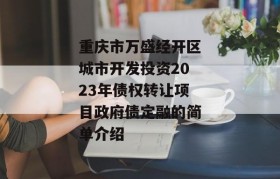 重庆市万盛经开区城市开发投资2023年债权转让项目政府债定融的简单介绍