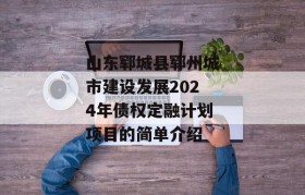 山东郓城县郓州城市建设发展2024年债权定融计划项目的简单介绍