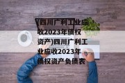 (四川广利工业应收2023年债权资产)四川广利工业应收2023年债权资产负债表