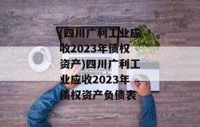 (四川广利工业应收2023年债权资产)四川广利工业应收2023年债权资产负债表