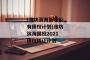 (潍坊滨海新城公有债权计划)潍坊滨海国投2021债权转让计划