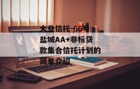 大业信托-66号盐城AA+非标贷款集合信托计划的简单介绍