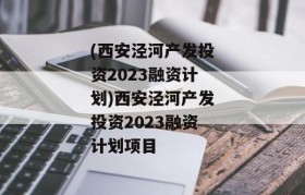 (西安泾河产发投资2023融资计划)西安泾河产发投资2023融资计划项目