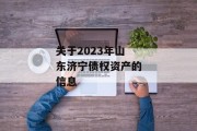 关于2023年山东济宁债权资产的信息