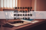 (湖北大冶市投资2023年融资计划)湖北大冶市投资2023年融资计划项目