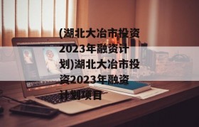 (湖北大冶市投资2023年融资计划)湖北大冶市投资2023年融资计划项目