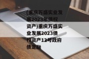 (重庆万盛实业发展2023年债权资产)重庆万盛实业发展2023债权资产12号政府债定融