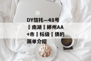 DY信托—48号‮南湖‬郴州AA+市‮标级‬债的简单介绍