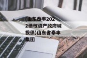 (山东泰丰2022债权资产政府城投债)山东省泰丰集团