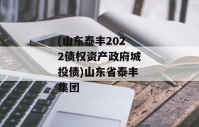 (山东泰丰2022债权资产政府城投债)山东省泰丰集团