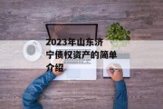 2023年山东济宁债权资产的简单介绍